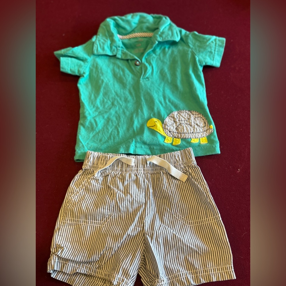 Green Turtle Shirt and Striped Shorts Set